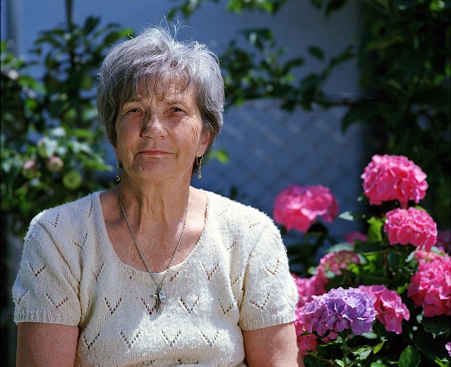granny-g3520b4db2_640